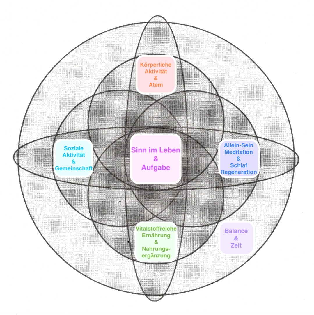 Methusalem-Formel nach Dr. Michael Nehls